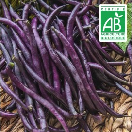 Haricot Nain Purple Queen - 60 graines bio