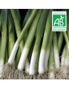 Poireau Hilari - 1,5g graines bio