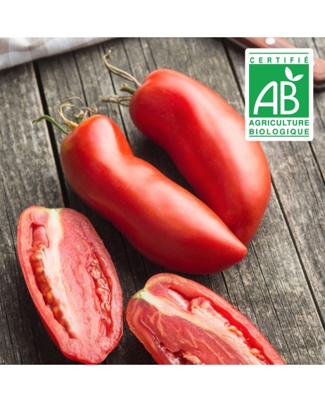 Tomate Andine Cornue