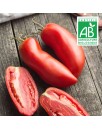 copy of Aubergine blanche