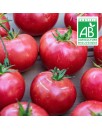 Tomate Rose de Berne