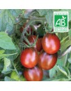 Tomate cocktail prune noire - 30 graines bio