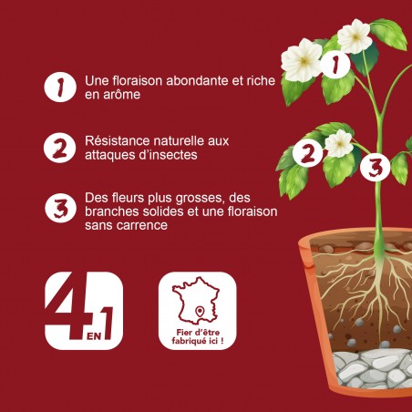 BIO TECHNOLOGY® OFFICIEL - Bloom A + B - Engrais et additifs complets pour la culture indoor