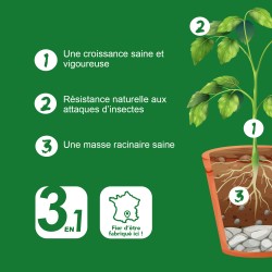 Grow A+B - Engrais et additifs complets pour la culture indoor - BIO TECHNOLOGY