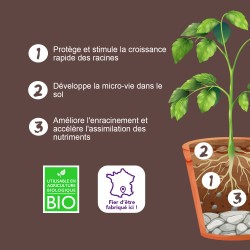 BIO TECHNOLOGY® OFFICIEL - ROOTS + - Engrais et additifs complets pour la culture indoor