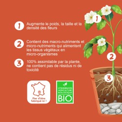 BIO TECHNOLOGY® OFFICIEL - INDUCTOR F - Engrais et additifs complets pour la culture indoor