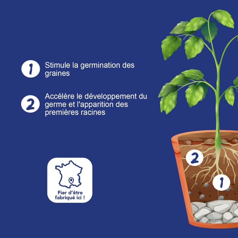 Plateaux De Germination GROWMANIA 5x112 Alvéoles | 100% Recyclable | Pour Semis Et Bouturage | Jardinage