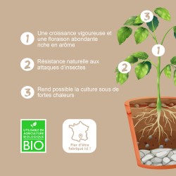 BIOLIFE MIX- Bioestimulante de crecimiento y de floración -Bio Technology