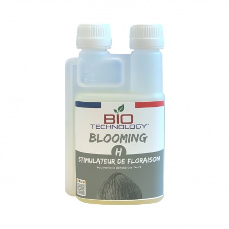 BLOOMING H – Densité fleurs rendement structure végétale