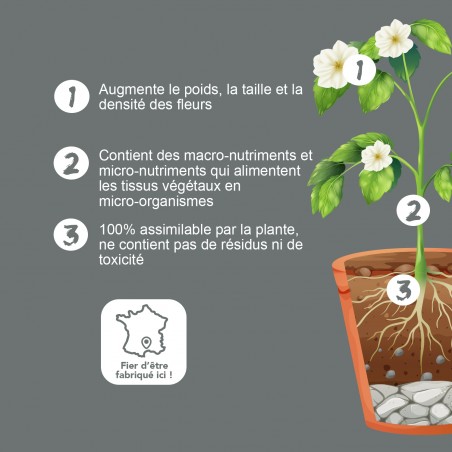 BIO TECHNOLOGY® OFFICIEL - Blooming H - Engrais et additifs complets pour la culture indoor