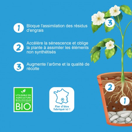 POWER FLUSH- Solución de enjuage, acelera la senescencia- Bio Technology