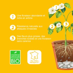 ORGANIC BLOOM- Fertilizante y abono NPK para la floración- Bio Technology