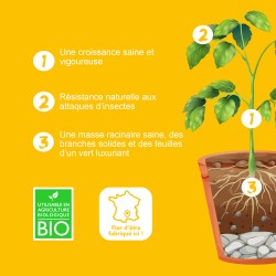 BIO TECHNOLOGY® OFFICIEL - Orga Grow - Engrais et additifs complets pour la culture indoor