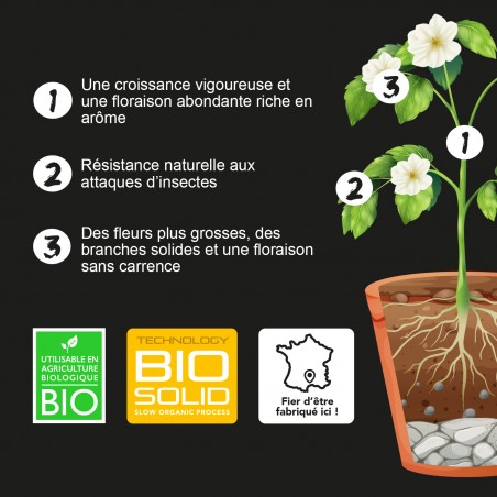 Nutrisoil 2 - Base nutritive Autofloraison (formule 2 mois d'engraissage, à mélanger au terreau)