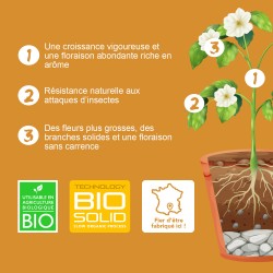 Nutrisoil 3 - Base nutritive Croissance et Floraison (formule 3 mois d'engraissage, à mélanger au terreau)