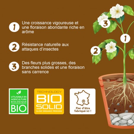 Nutrisoil 5 - Base nutritive Croissance et Floraison (formule 5 mois d'engraissage)