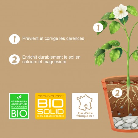 BIOSOLID CALMAG- Fertilizante booster de calcio y magnesio - Bio Technology