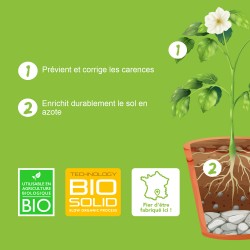 BIOSOLID N10 MIX- Fertilizante booster de Nitrógeno- Bio Technology