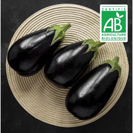 copy of Aubergine blanche
