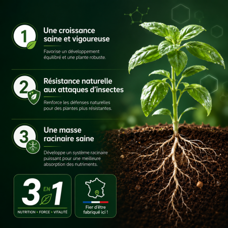 Liquid Grow A+B - Fertilizante y abono de crecimiento- Bio Technology-