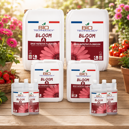 BLOOM A+B – Engrais floraison NPK rendement terre coco hydro