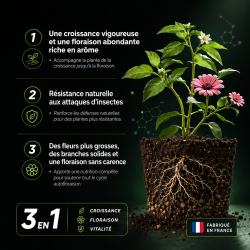 Liquid Autoflo A+B- Fertilizante para autoflorecientes y para la cultura de interior