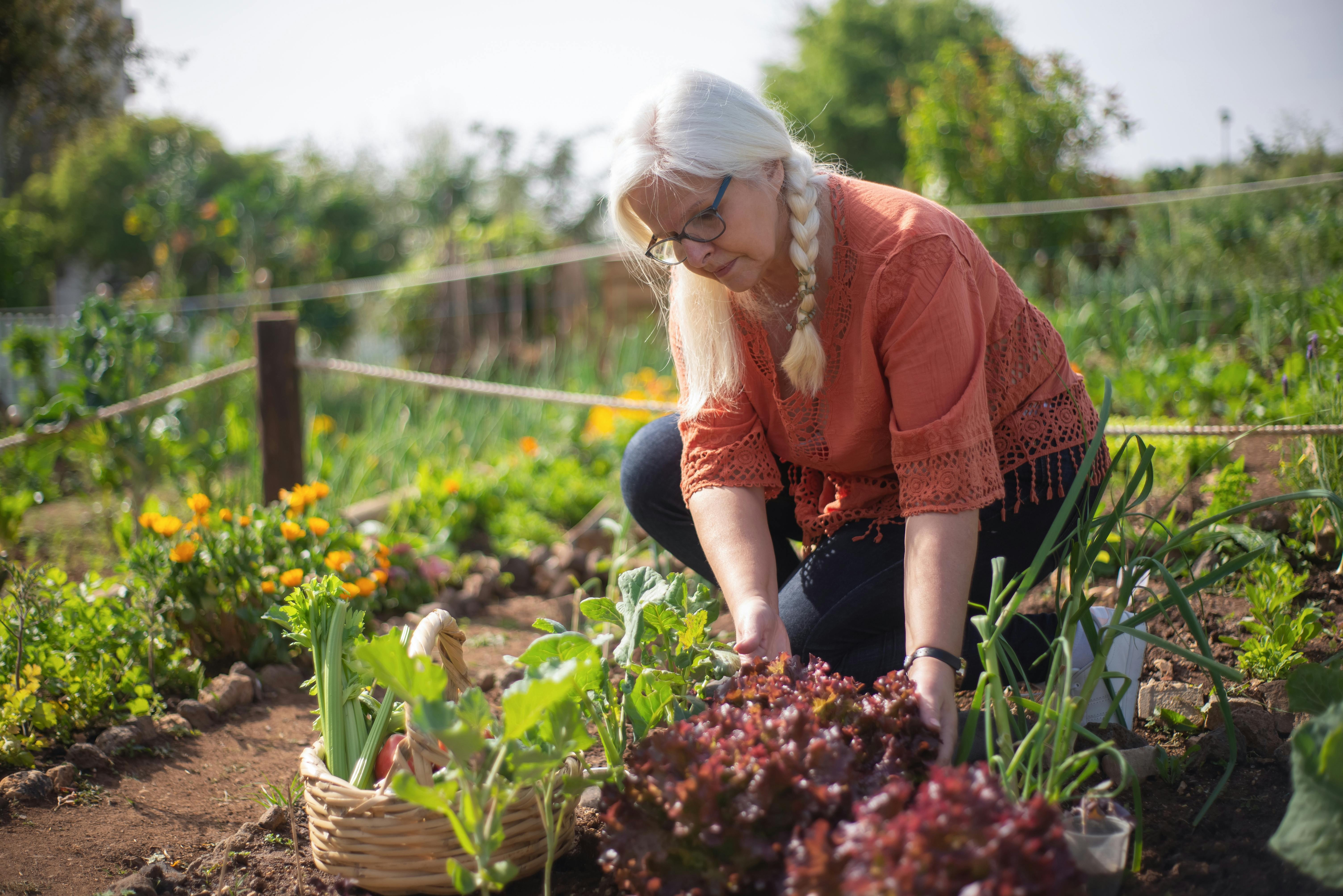 4 erreurs à éviter en jardinage et comment les corriger