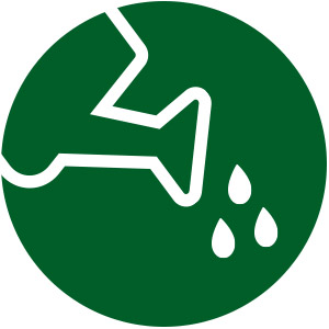Arroser à l'eau claire