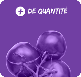 Quantité